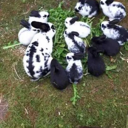 Ingrid * Kressbronn am Bodensee