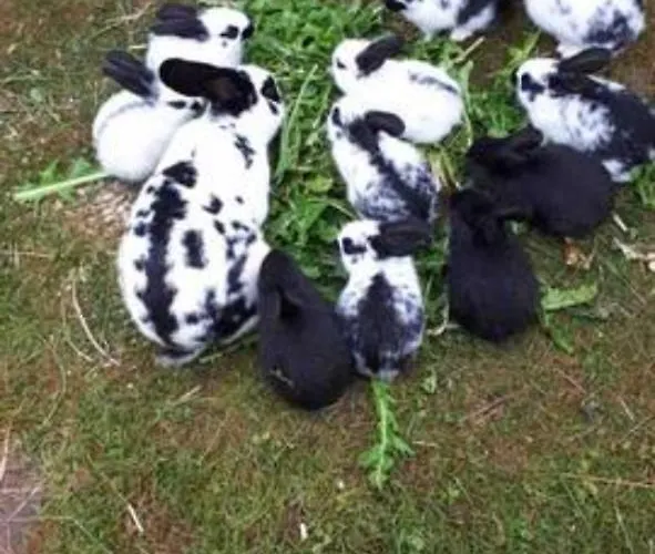 Ingrid * Kressbronn am Bodensee