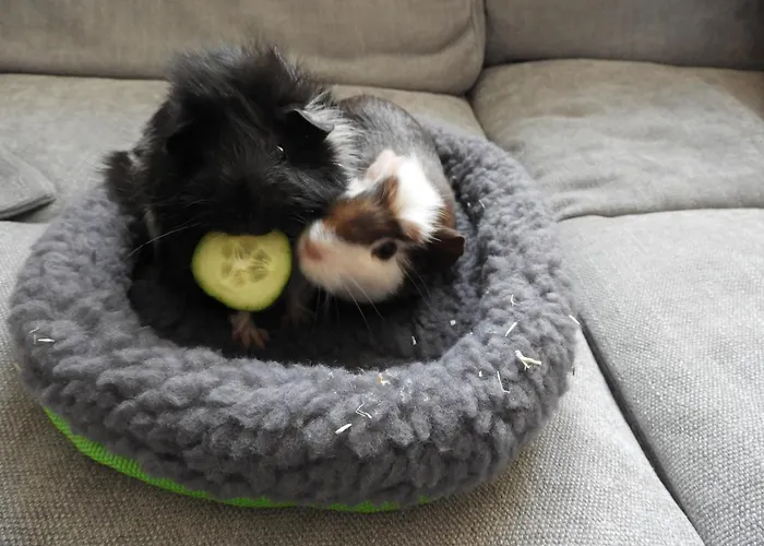 Ingrid * Kressbronn am Bodensee