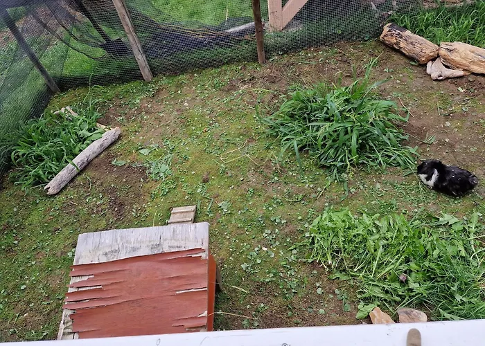 Ingrid Διαμέρισμα *