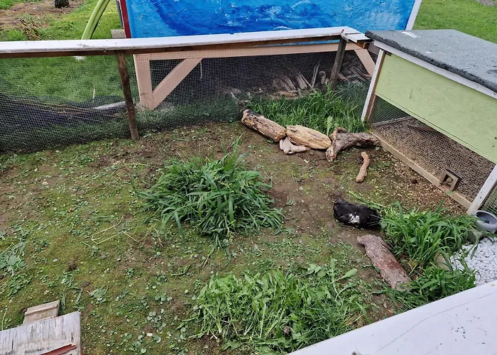 Ingrid Kressbronn am Bodensee